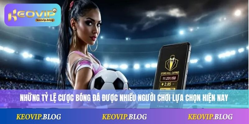 Tỷ Lệ Bóng Đá 2 Những tỷ lệ cược bóng đá được nhiều người chơi lựa chọn hiện nay