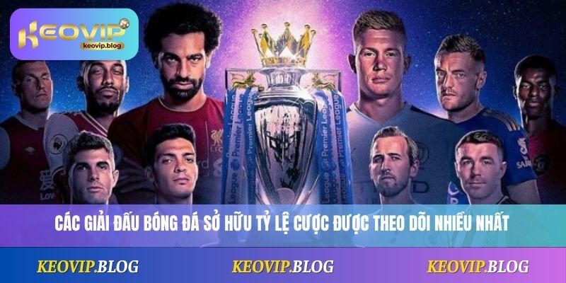 Tỷ Lệ Bóng Đá 5 Các giải đấu bóng đá sở hữu tỷ lệ cược được theo dõi nhiều nhất
